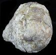 Crystal Filled Dugway Geode #33187-1